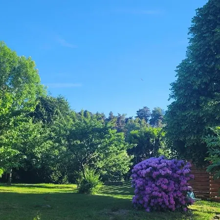 Nocleg ze śniadaniem Le Clos De La Ronziere Soulages